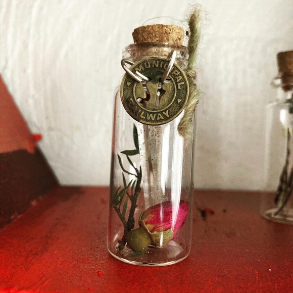 Glass curiosity jars holding beautiful ephemera - Picture 14 of 14